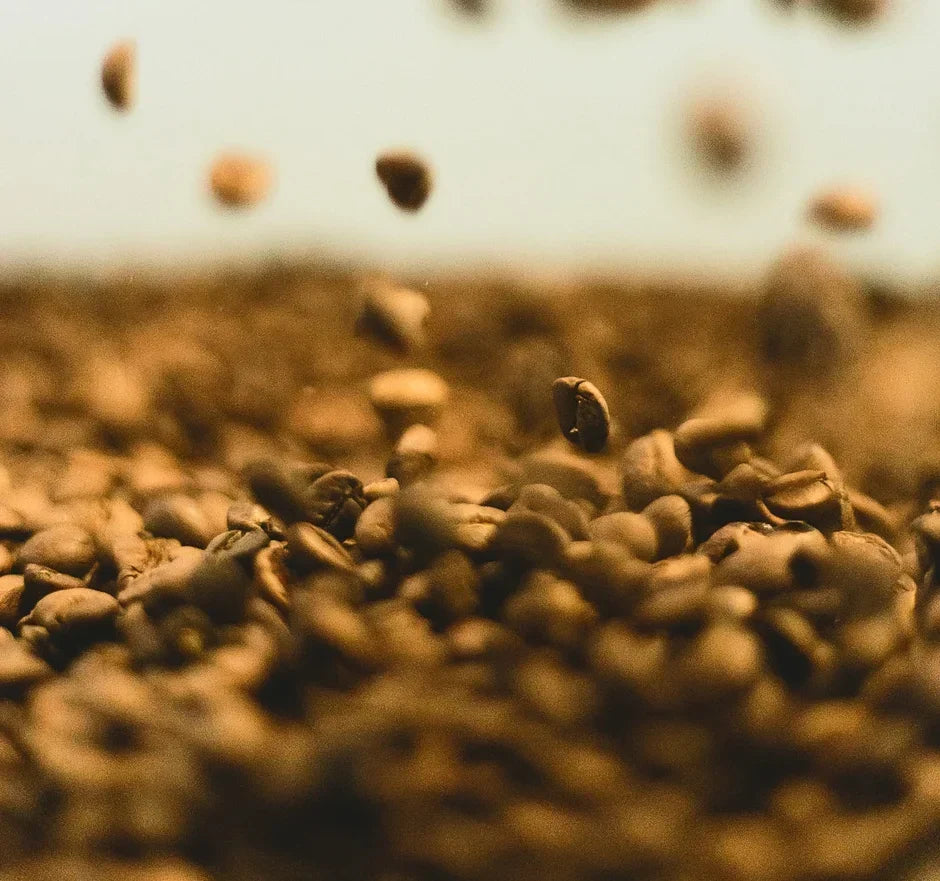 How Our Ingredients Support a Healthier You